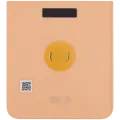 Back Cover Glass For Motorola Razr Plus / Razr 50 Ultra (XT2451 / 2024) / Razr Plus 2025 (XT2557 / 2025) (Premium) (Peach Fuzz)
