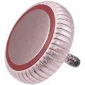 Crown Nut For Watch Series 9 (41MM / 45MM) (LTE Version) (Rose Gold)