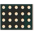 Signal Amplifier IC For iPhone 14 / 14 Plus / 14 Pro / 14 Pro Max (22-14)