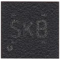 Electronic Fuse Chip For Nintendo Switch 2 (SKB)