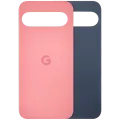 Back Cover Glass For Google Pixel 9 (Used OEM Pull: Grade A) (Peony)