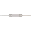 Fuse for Playstation 5 (T8A / H / 250V) (6MMx30MM) (Soldering Required)
