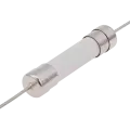 Fuse for Playstation 5 (T8A / H / 250V) (6MMx30MM) (Soldering Required)