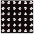 Tristar U2 Charging IC For iPhone SE (2016) / 6S / 6S Plus (U4500: 1610A3: 36 Pins)